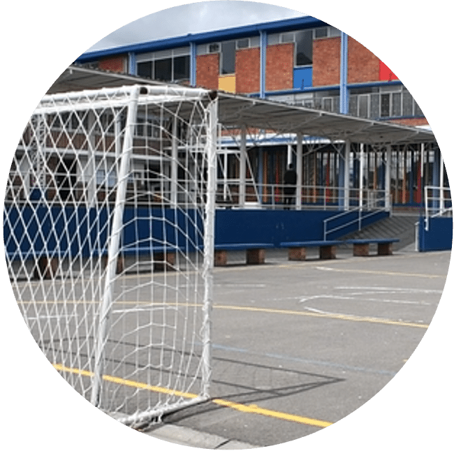 Polideportivo y canchas deportivas